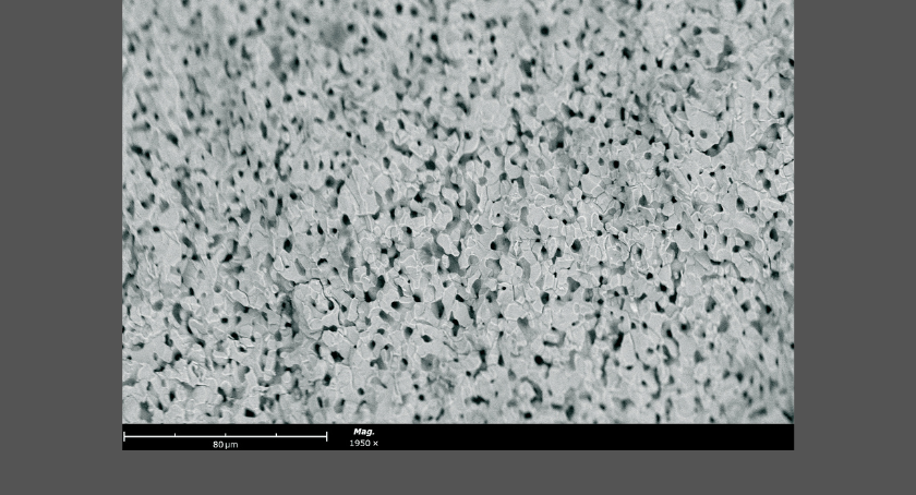Himed, Adva Cera Collaborate on Production Path for 3D-Printed Bioceramic Devices